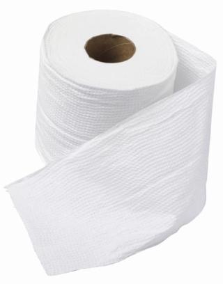 What did people use before toilet paper was invented?