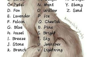 Warrior cat name ideas? (#1) I'm writing a series about warrior cats. I need names...  Here are the cats I need names for: Strikepaw- (Strikefur?) ginger tabby she-cat, mean and sassy Toadpaw- (Toadfang?) muscular brown tom (Strikepaw's brother), mean and a bully Darkkit- (Darktail?) black tom Shadowkit- (Shadowtail?) black tom Cloudpaw- (Cloudwhisker?) pale gray tom, medicine cat apprentice, kind, considerate, and patient  Also, I need more characters...  Name: Age (optional): Gender: Appearance: Rank (optional): Personality (optional, but very much suggested): Backstory (optional):  Please answer all parts: - names for the kits/apprentices on top - fill in a character form (at least one!)  Thanks in advance!  (We need a leader)