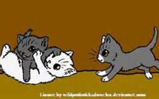 Why dont dewpaw amberpaw and snowpaw look like cloudtail? (warrior cats question) Ok I'm confused here...whitewing she just SCREAMS Cloudtail...and honestly when I saw Dewpaw,snowpaw and amberpaw I was like.."what the check? It's like Hollyleaf jayfeather and lionblaze all over again!" I mean amberpaw he kinda whispers "brightheart" he's kinda got her color but way off...I looked on the warrior cats Wikipedia and it said they are his and her official kids and I'm confused...only 2 look like the parents...it's just..that one Jackie Chan face for me...I need a explanation!