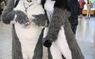 What do you think of Furries? I have no hate towards them, i think there pretty cool, but im more on the gamer side of things. What are your thoughts on them?