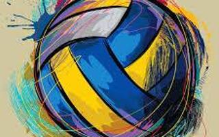 What do you think about volleyball?