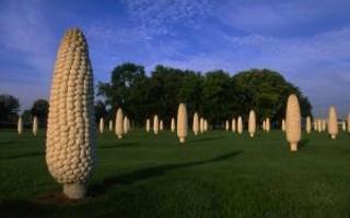 Why are there giant corns in Dublin, Ohio?