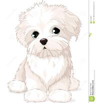 Can a maltese (pet) fight with stray? please tell me. i have a doubt cause ppl say it's fragile then can it survive dog attacks?