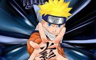 Does anyone know of Naruto? it has Nine-tails fox and a ninja Called Naruto and he is trying to become best ninja