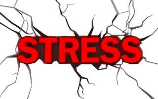 How do you handle stress? I have been having a lot of stress lately. I need support! Please tell me how to handle this!