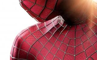 Who's your favorite Spiderman? Movie Examples: Tobey Maguire. Andrew Garfield. Comic Examples: Spider-Gwen, 2099 Spiderman, Miles Morales, Noir.