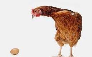 wich came first chicken or de egg?