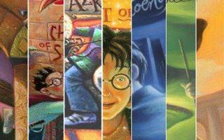 If you could be any Harry potter character, who would you be? (Teachers too) A Harry Potter question! Also did you know, every 30 seconds some one starts reading the Harry Potter!?