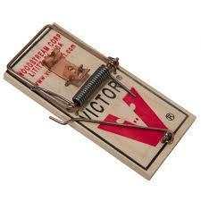these were the mouse traps i played with