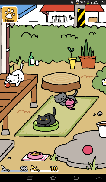 nikki (left) shadow (top right) and slipper (bottom right)