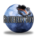 Blueberryboi