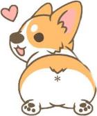 Lil corgi for the dog peoples