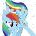 RainbowDash900