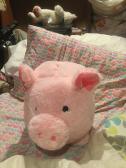 This piggy bank is so fluffy I am going to die!