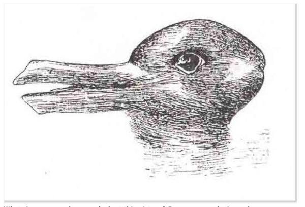 Rabbit or duck?