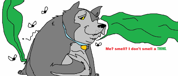 Wolfie, bath. >:C