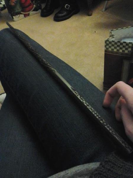 Guys I got a replica of Sirius Black's wand! *fangirls*