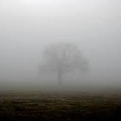 Shrouded_in_Mist