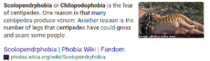 This is my phobia... *shudders*