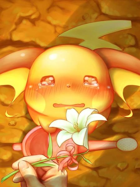 Me: :(( *hugs Raichu*. I'm so sorry little guy. :((