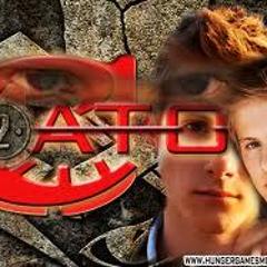 Teamcato