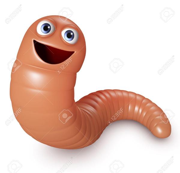 im going to draw donald trumps hair on this worm