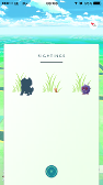 I swear to God if that was an Arcanine...