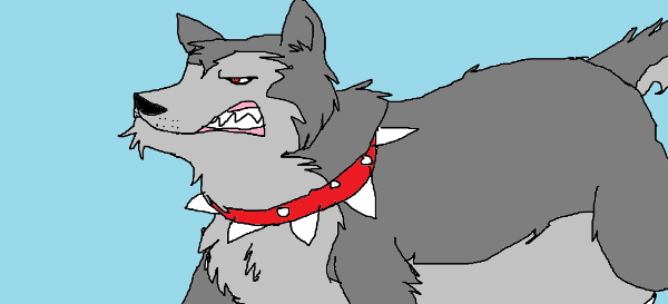 Wolfie with spike collar