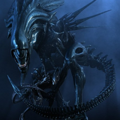 Xenomorph