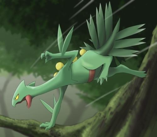 Sceptile <3