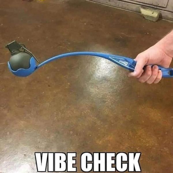 vibe check