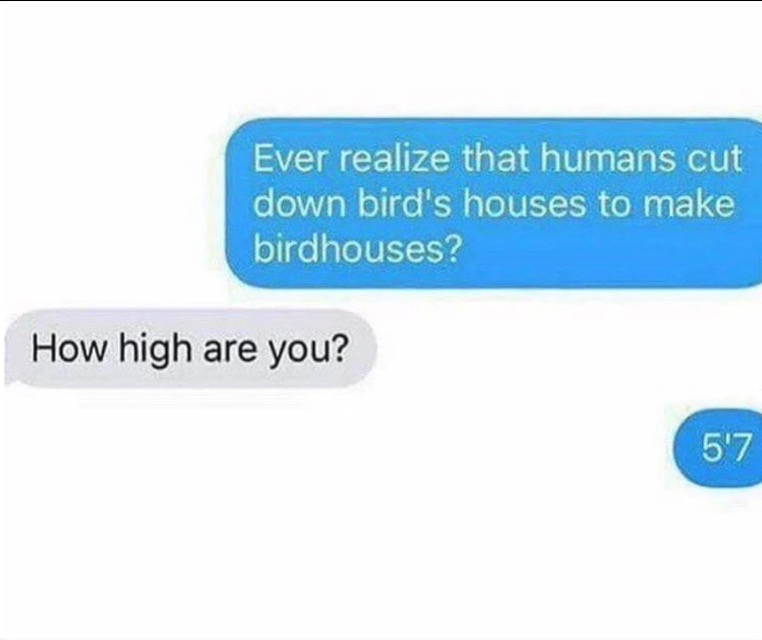 How high are you. Funny pictures with text.