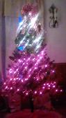 Our Christmas tree.! ???