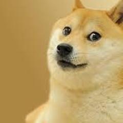 Doge_Leader