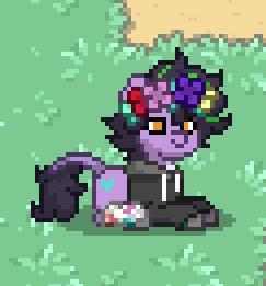 FIRST PONYTOWN DESIGN