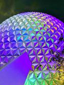 epcot looking fine asf