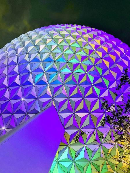 epcot looking fine asf