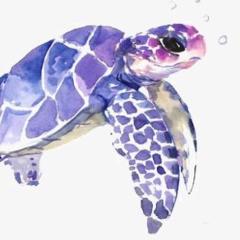 Galaxy.Turtle