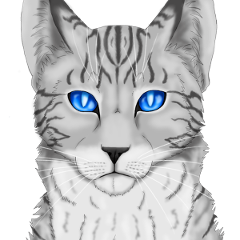 jayfeather_13