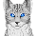 jayfeather_13