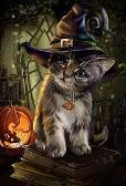 halloween kitty