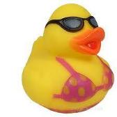 Sexy duck