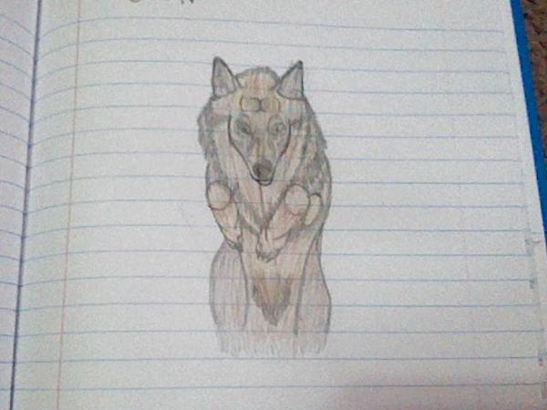 i drew a wolf :DDD [R8 PLZ]