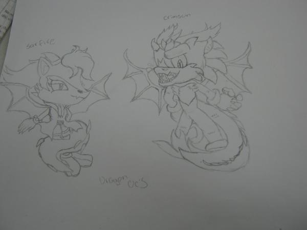 Dragon OC's