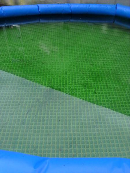 Are nasty pool