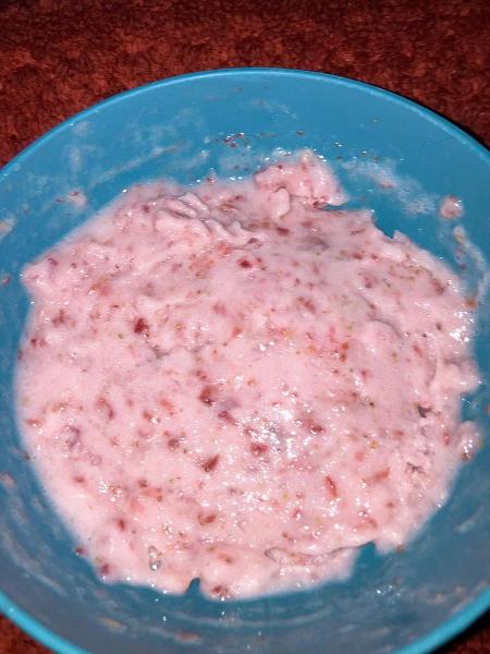 chat look at this amazing strawberry icecream i made ALL by myself without machines :3