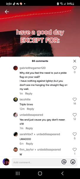 Because I asked if a pride flag counts as a wall banner cause the guy said they suck- I hate my life