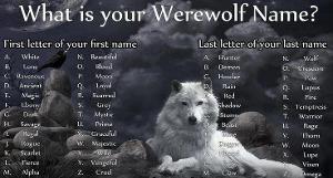 Moon Shadow is my werewolf name