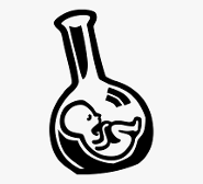 AYOO FETUS IN A BONG ?THE FETUS IS IN THE BONG??? SMOKE THAT FETUS MM ?HIGH ON FETUS?????