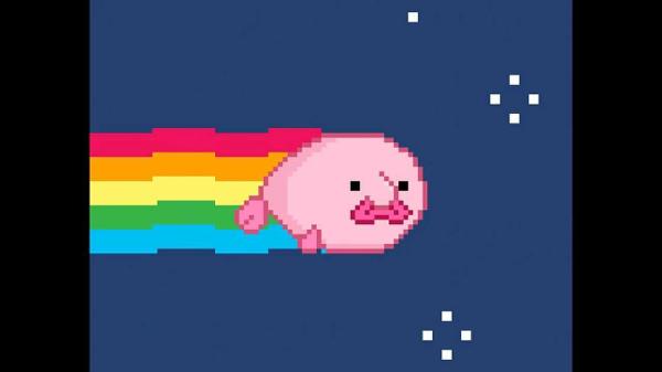 Nyan Blobfish